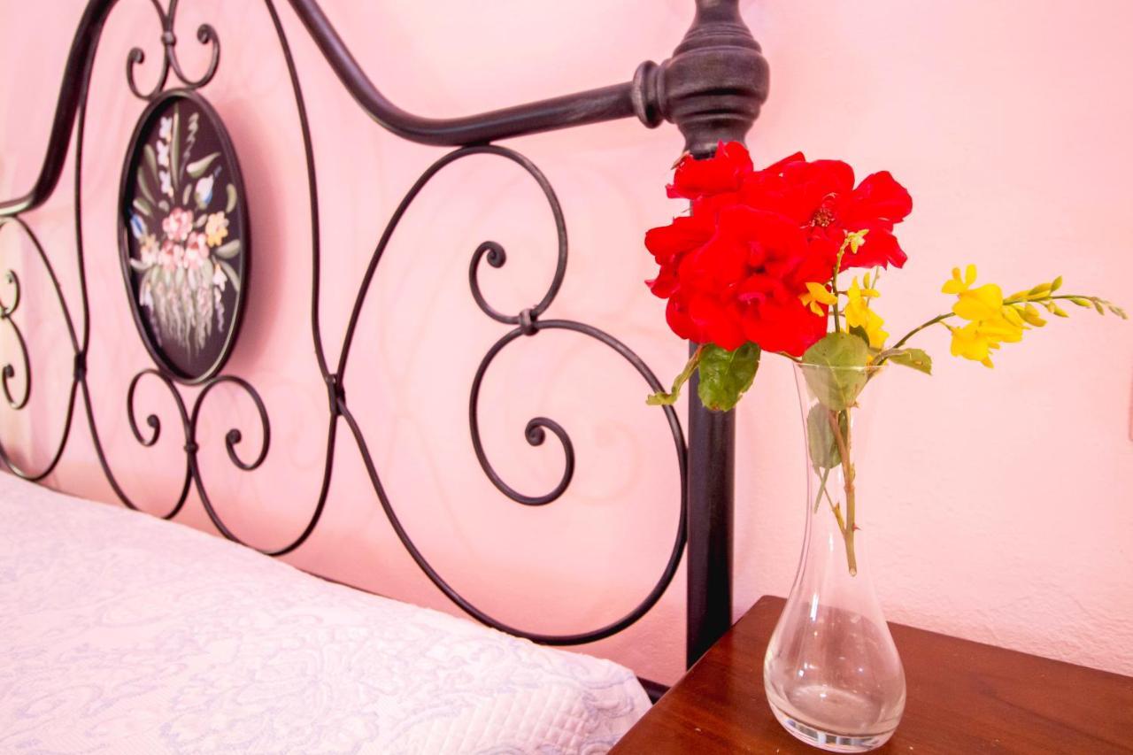 Agriturismo Poggio Pistolese Montaione Ngoại thất bức ảnh